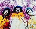 The Jimi Hendrix Experience