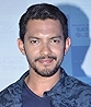 Aditya Narayan