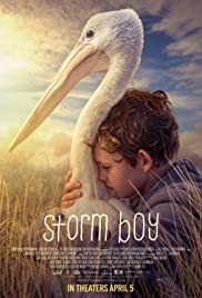 Storm Boy 2019 copertina