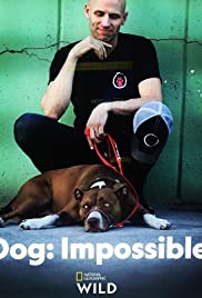 Dog: Impossible 2019 masque