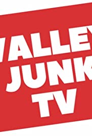 Valley Junk TV (2018) cover