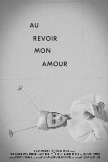 Au revoir mon amour (2011) cover