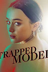 A Model Kidnapping (2019) cover