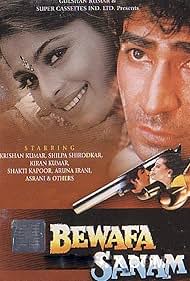 Bewafa Sanam (1995) cover