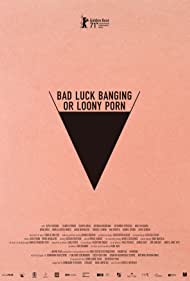 Babardeala cu bucluc sau porno balamuc (2021) cover