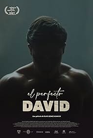El perfecto David 2021 copertina