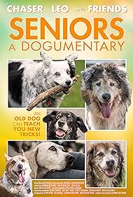 Seniors: A Dogumentary 2020 capa