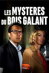 Les mystères du Bois Galant (2019) cover