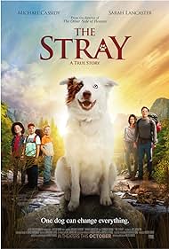 The Stray (2017) cover