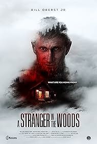 A Stranger in the Woods 0 poster