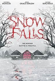 Snow Falls 2023 copertina