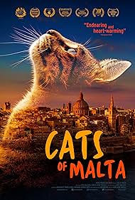 Cats of Malta 2023 poster