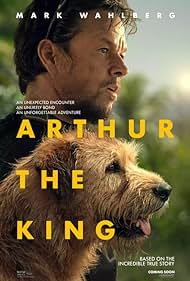 Arthur the King 2024 copertina