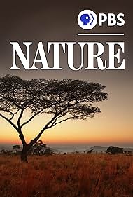 Nature 1982 capa