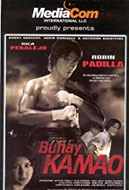 Buhay kamao (2001) cover