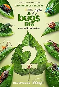 A Real Bug's Life (2024) cover