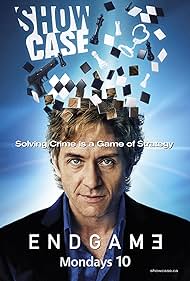 Endgame 2011 poster