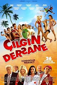 Çilgin Dersane (2007) cover