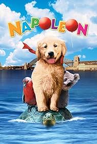 Napoleon 1995 masque