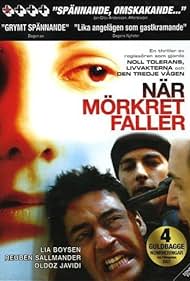 När mörkret faller (2006) cover