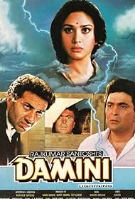 Damini (1993) cover