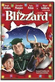 Blizzard (2003) cover