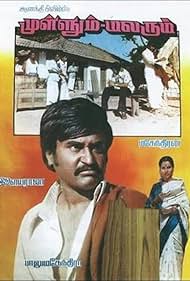 Mullum Malarum (1978) cover