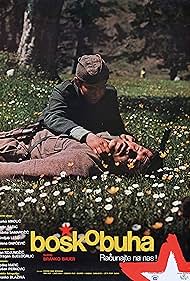 Bosko Buha (1978) cover