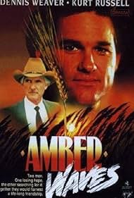 Amber Waves (1980) cover