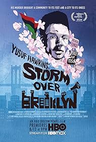Storm Over Brooklyn (2020) cover