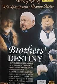 Brothers' Destiny (1995) cover