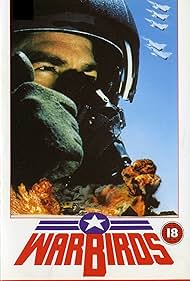 Warbirds 1988 poster