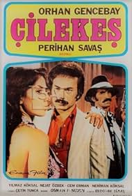 Çilekes (1978) cover