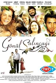 Gönül Salincagi (2007) cover