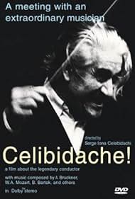 Celibidache 1992 poster