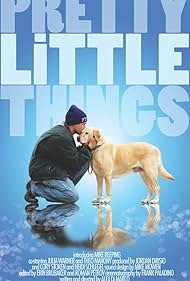 Pretty Little Things 2012 poster