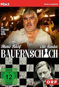 Bauernschach (1995) cover