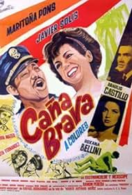 Caña brava (1966) cover