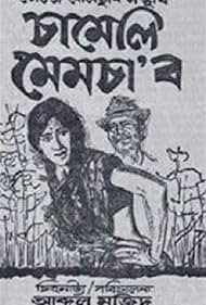 Chameli Memsaab (1975) cover