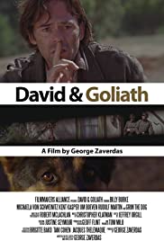 David and Goliath 2010 poster