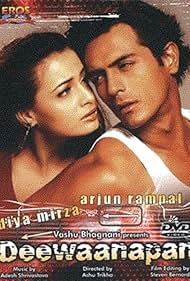 Deewaanapan (2001) cover