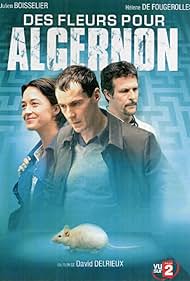 Des fleurs pour Algernon 2006 poster