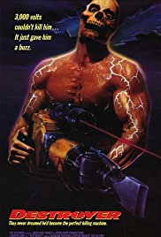 Destroyer (1988) cover
