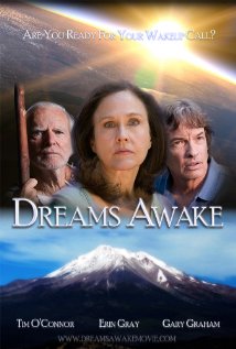Dreams Awake 2011 capa