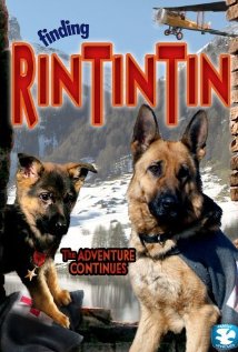 Finding Rin Tin Tin 2007 copertina