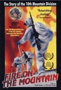 Fire on the Mountain (1996) cover