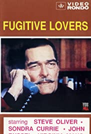 Fugitive Lovers 1975 poster