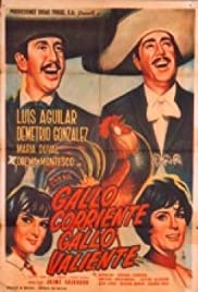 Gallo corriente, gallo valiente (1966) cover