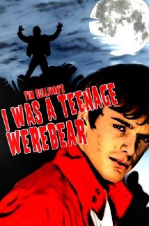 I Was a Teenage Werebear 2011 copertina