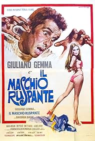 Il maschio ruspante (1973) cover